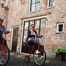 Step-hoge bi-puzzeltocht